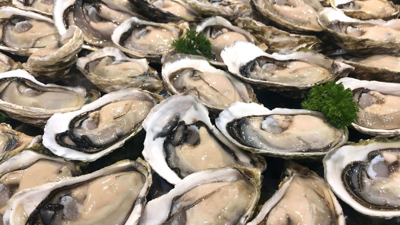 Các nguyên nhân tuyệt đối không nên ăn hàu sống 10