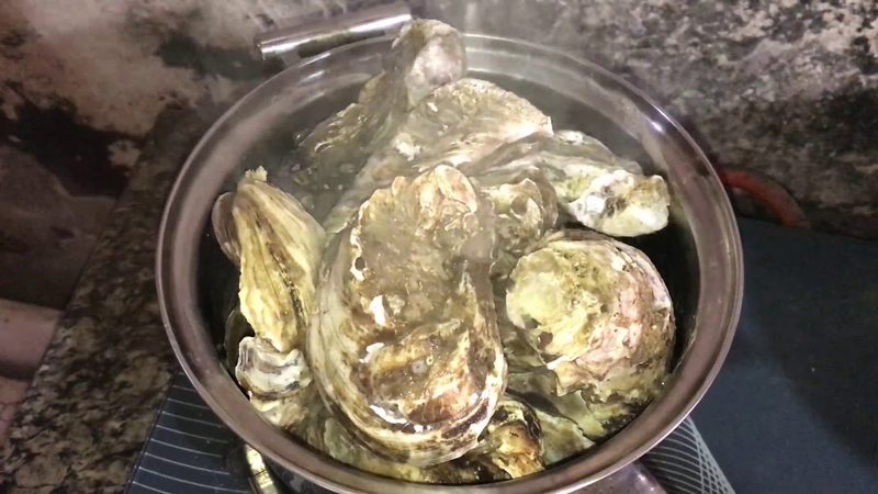 Các nguyên nhân tuyệt đối không nên ăn hàu sống 3