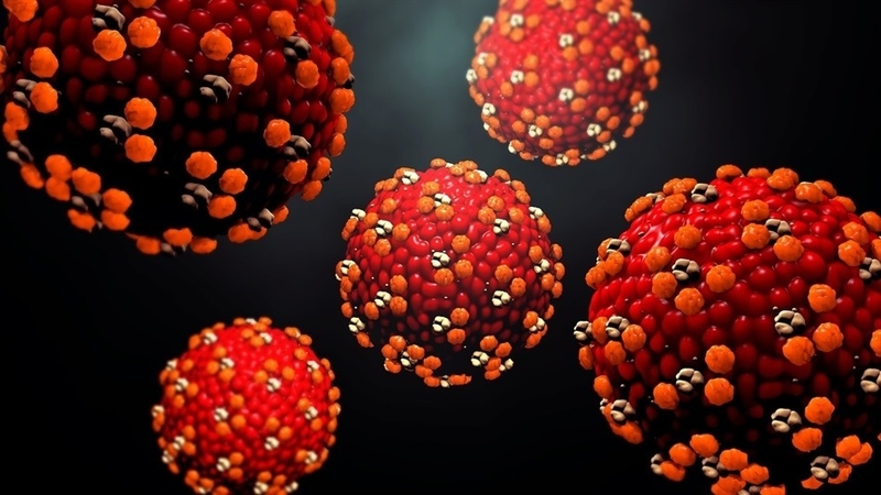 Các nhà khoa học khám phá ra cách virus herpes gây ra bệnh Alzheimer 4