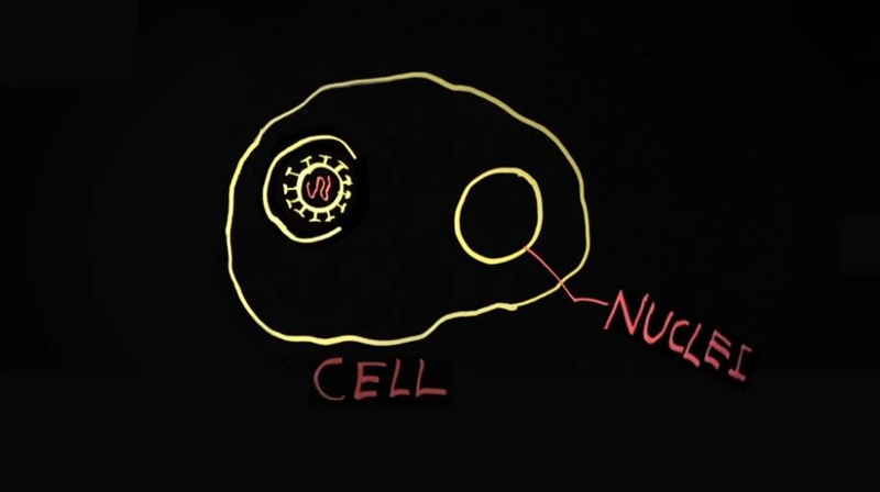 Các nhà khoa học đã nghiên cứu thuốc điều trị Covid-19 thế nào? 4