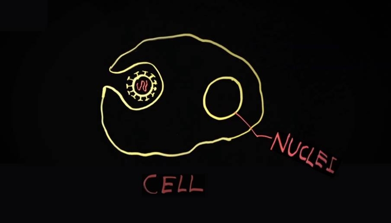 Các nhà khoa học đã nghiên cứu thuốc điều trị Covid-19 thế nào? 3