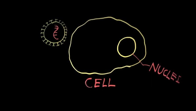 Các nhà khoa học đã nghiên cứu thuốc điều trị Covid-19 thế nào? 2