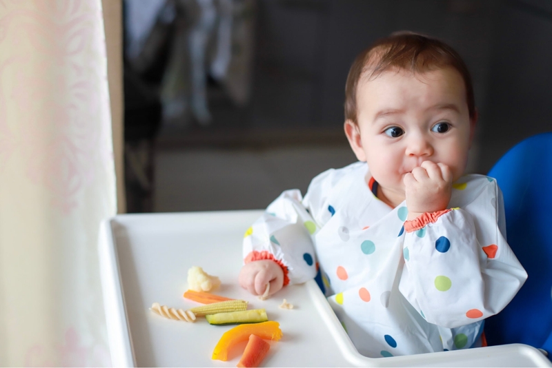 Các phương pháp ăn dặm nào bạn nên áp dụng cho bé 2