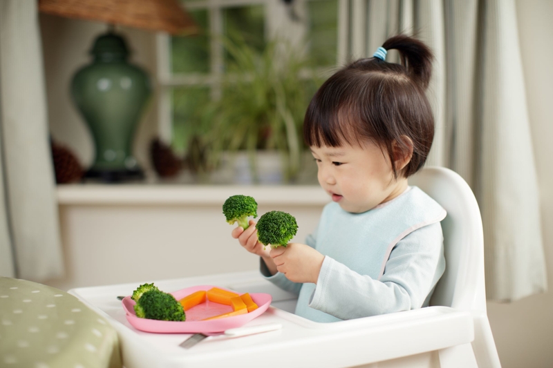 Các phương pháp ăn dặm nào bạn nên áp dụng cho bé 3