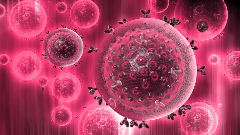 Các phương pháp tiếp cận vắc-xin HIV sáng tạo mang lại tiềm năng bảo vệ 1