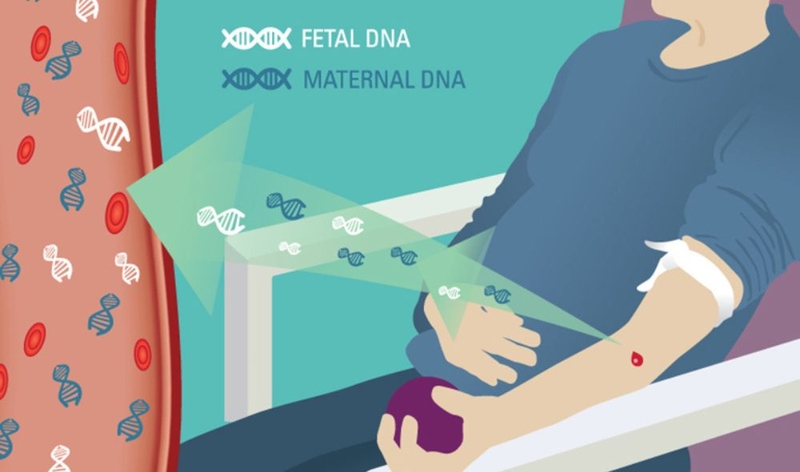 Các phương pháp xét nghiệm ADN cha con khi mang thai 1