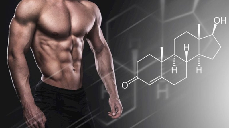 Cần lưu ý các nguyên tắc an toàn khi sử dụng steroid đồng hóa