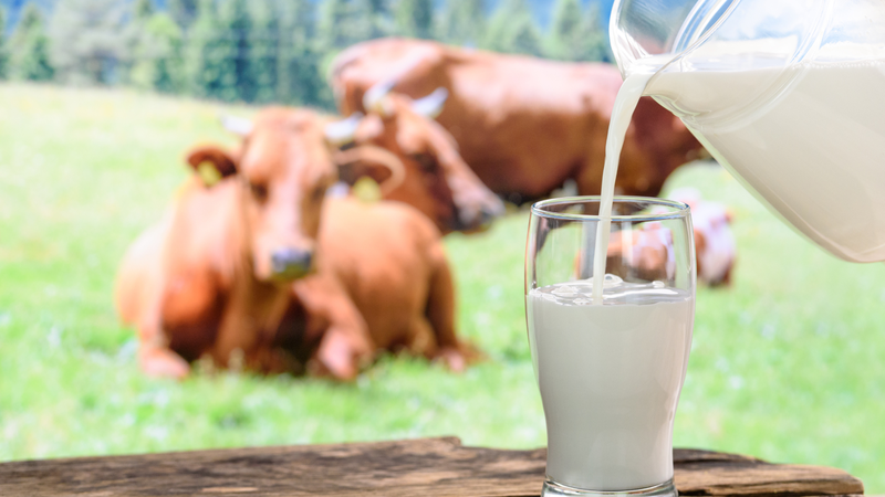 Các thực phẩm dễ bị nhiễm khuẩn nhất trong mùa nắng nóng 3