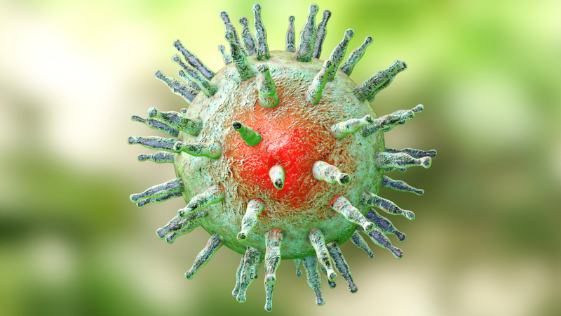 Virus Epstein–Barr (EBV) có liên quan chặt chẽ đến ung thư vòm họng