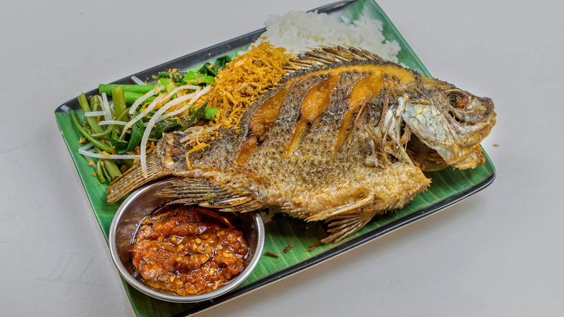 Cá chiên có thể hấp thụ thêm dầu trong quá trình chế biến