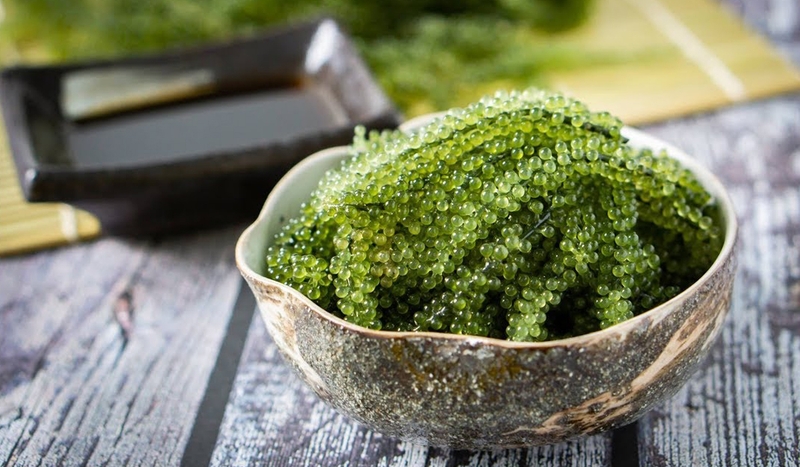 Cách ăn rong nho tươi không phải ai cũng biết 3