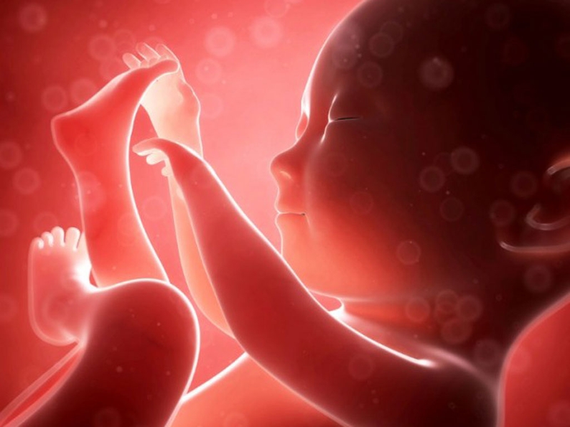 bầu ăn táo tàu được không 3