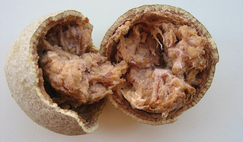 Cách ăn trái quách tốt cho sức khỏe bạn đã biết chưa? 2