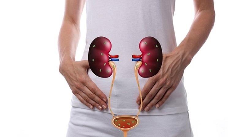 Ăn quá việt quất giúp ngăn ngừa nhiễn trùng đường tiết niệu