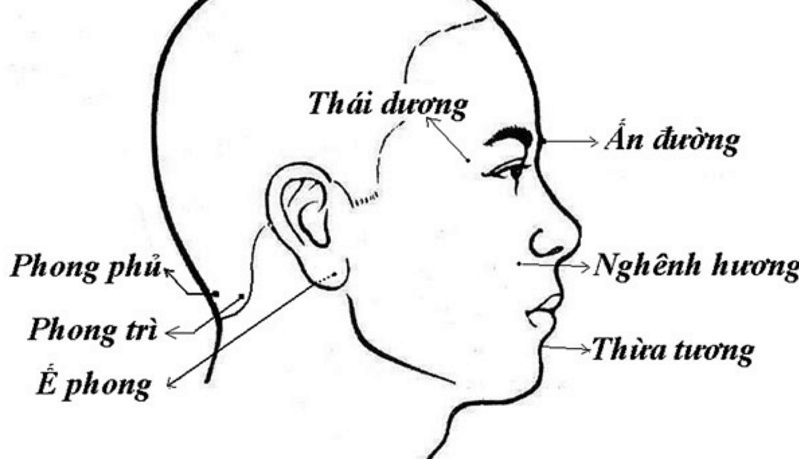 Cách bấm huyệt chữa cảm sốt hiệu quả, an toàn nhất 3