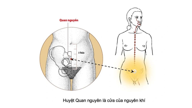Cách bấm huyệt nhịn tiểu: Cách kiểm soát tiểu tiện hiệu quả, an toàn 3