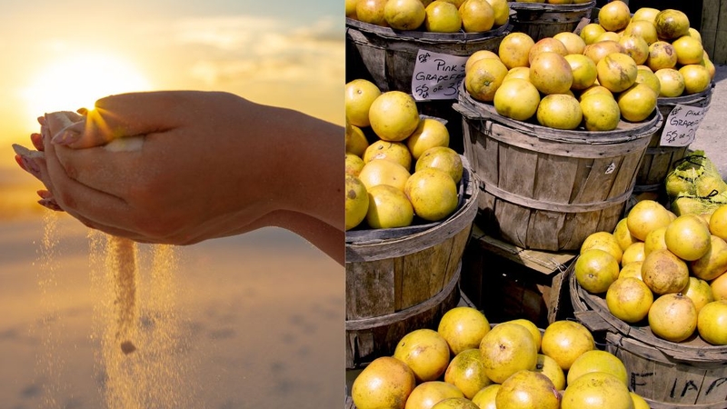 Cách bảo quản bưởi khoa học để giữ được dưỡng chất cần thiết 1