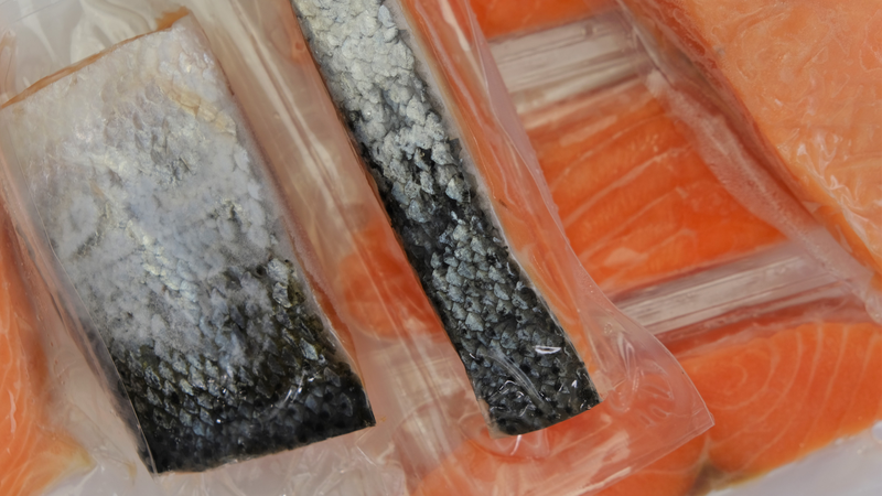 Cách bảo quản cá hồi tươi hiệu quả tại nhà - Những lưu ý khi bảo quản cá hồi bạn nên biết 2