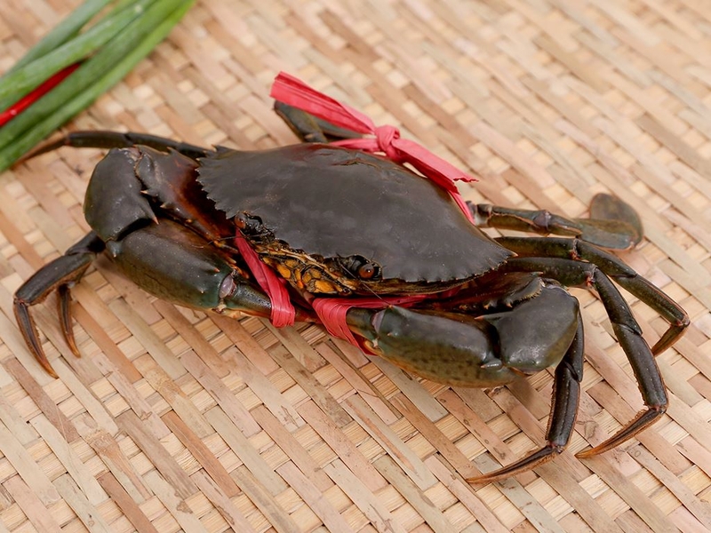 Cách bảo quản cua sống không bị ốp 2