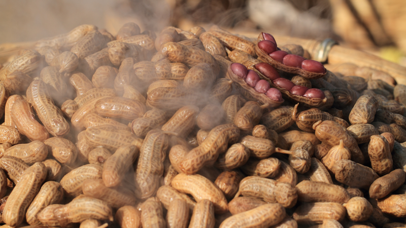 Cách bảo quản đậu phộng đúng cách tại nhà - Những công dụng của đậu phộng đối với sức khỏe 3