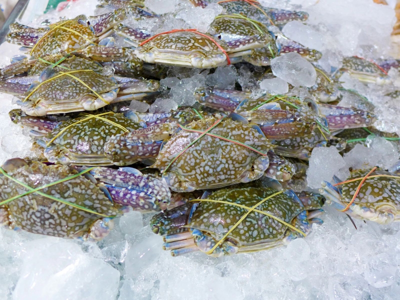 Cách bảo quản ghẹ sống không bị tanh 2