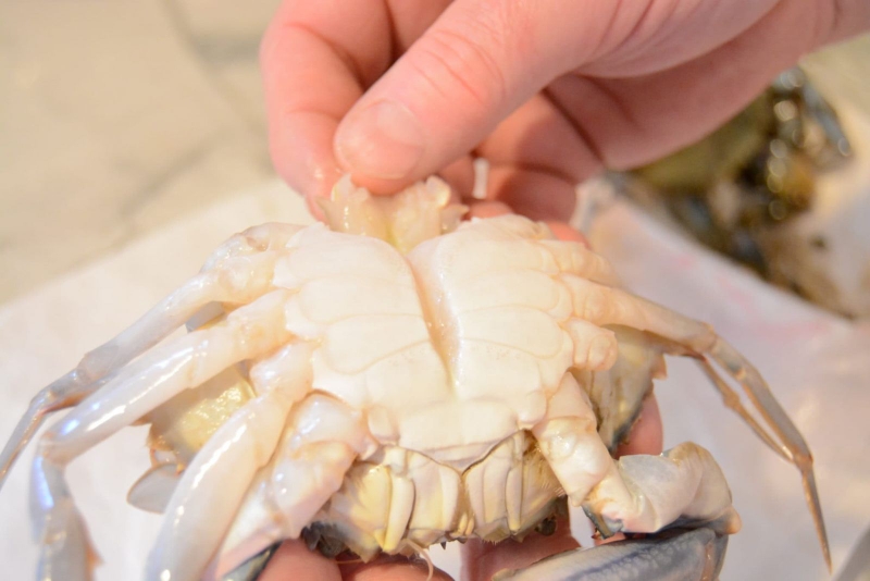 Cách bảo quản ghẹ sống không bị tanh 3