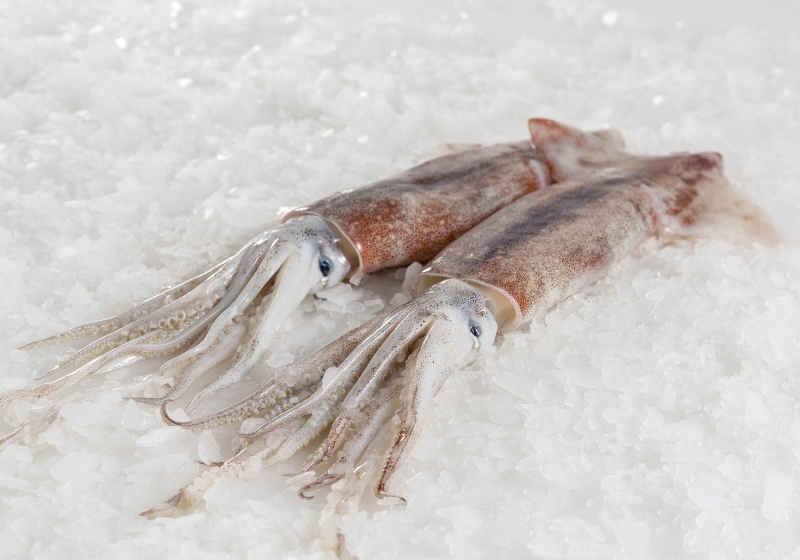 Cách bảo quản mực tươi giòn tự nhiên không tanh 3