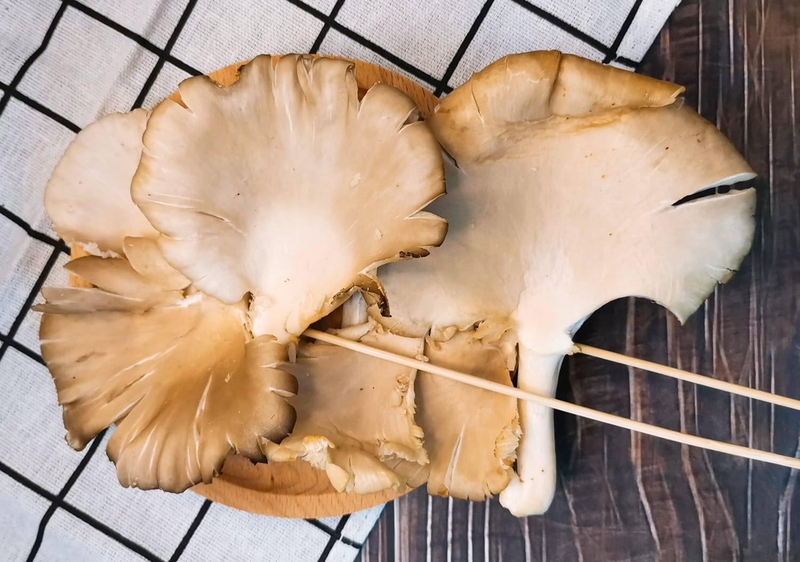 Cách bảo quản nấm bào ngư chuẩn như đầu bếp