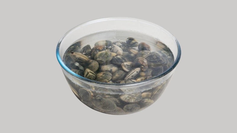 Không nên ngâm ngao trong nước quá lâu vì dễ làm ngao bị chết