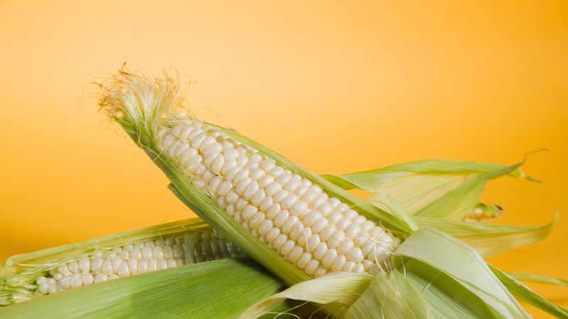 Cách bảo quản ngô tươi giúp giữ được độ ngọt và dinh dưỡng 4