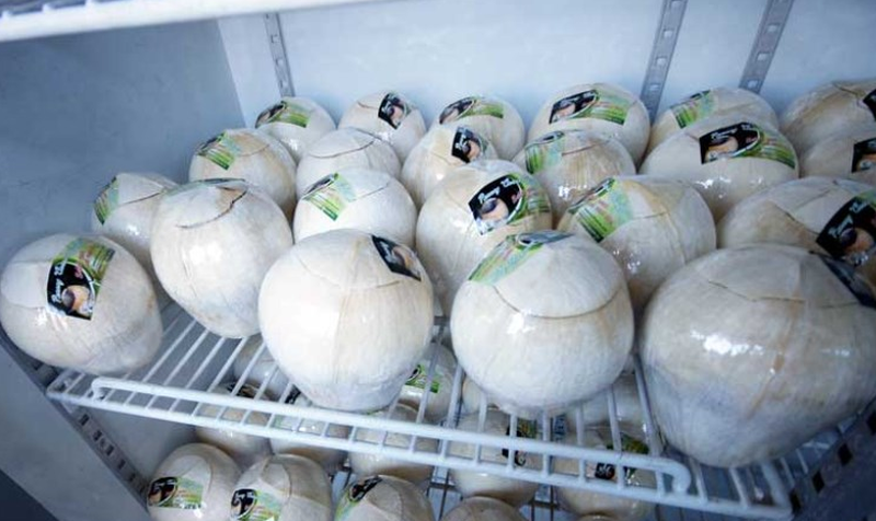 Cách bảo quản nước dừa tươi không hư, trữ được lâu 2