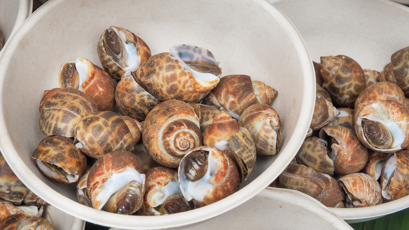 Cách bảo quản ốc hương tươi ngon được lâu 3