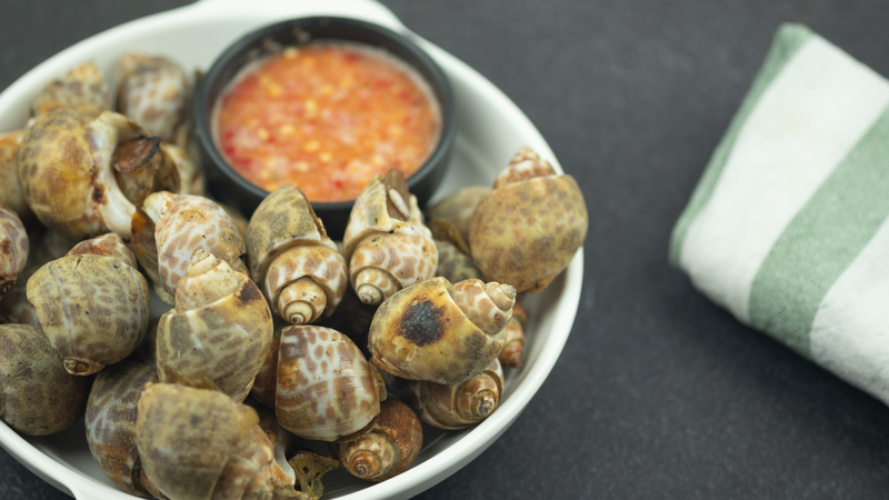 Cách bảo quản ốc hương tươi ngon được lâu 4