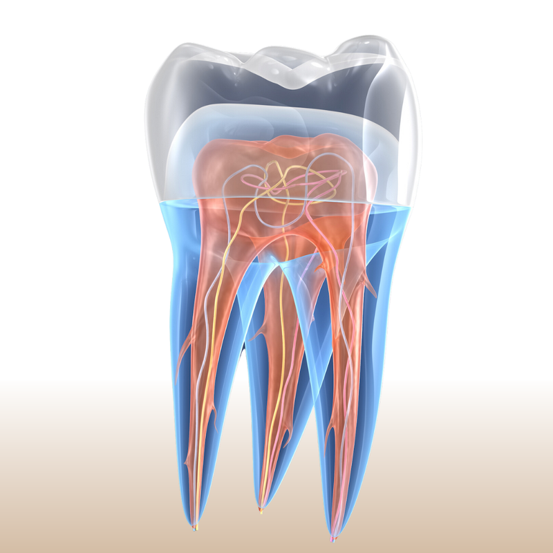 cach-bao-quan-rang-sua-sau-khi-nho-va-mot-so-dieu-can-biet 3.png