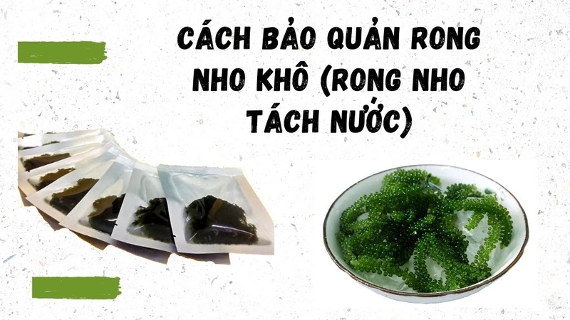 Rong nho tách nước bảo quản dễ dàng