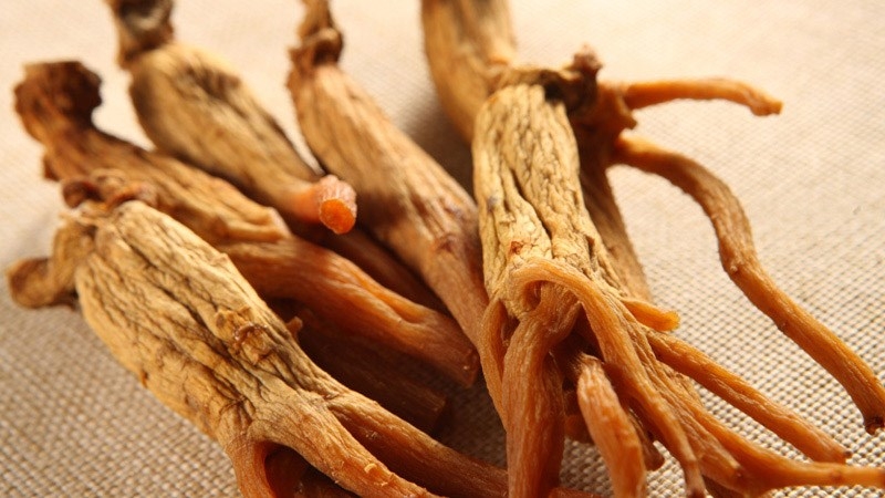 Củ sâm đã được sấy khô