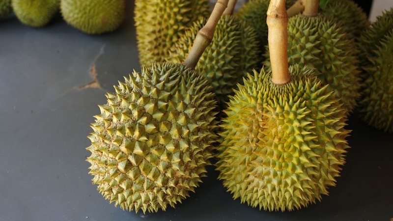 Cách bảo quản sầu riêng để giữ được dưỡng chất nên biết! 1