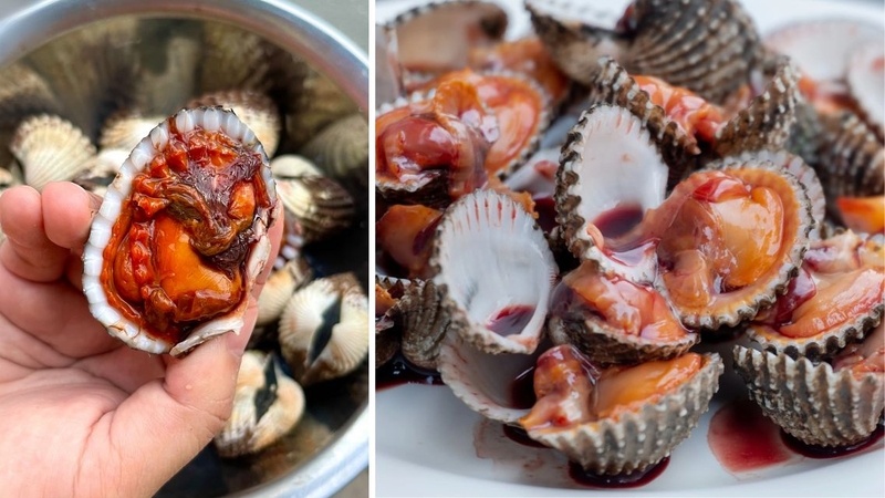 Cách bảo quản sò huyết thích hợp khi có kế hoạch chế biến trong 1 - 2 ngày