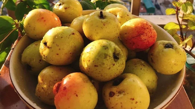 Cách bảo quản táo mèo tươi lâu tại nhà bằng tủ lạnh 4