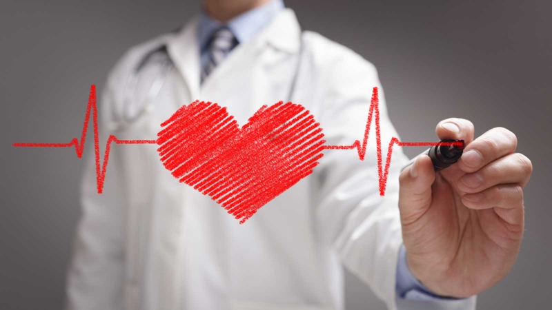 Cách bảo quản táo mèo tươi lâu tại nhà bằng tủ lạnh 2