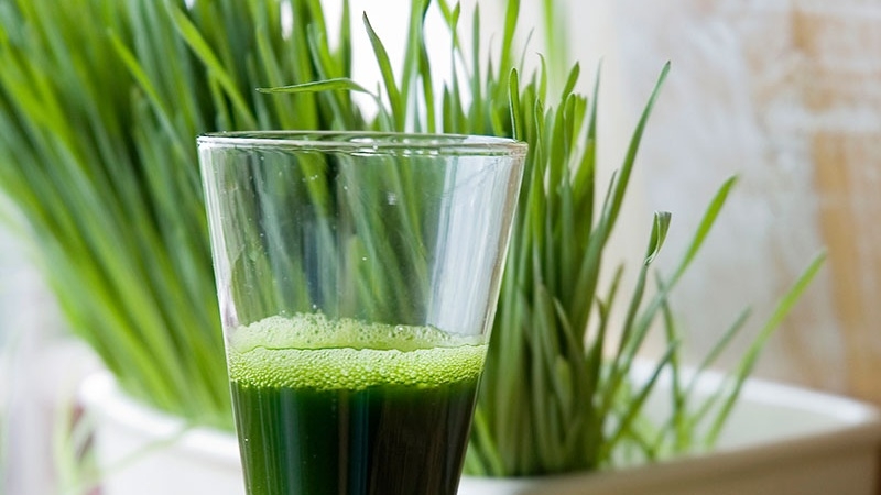 Cách chăm sóc trẻ sơ sinh bị vàng da hết nhanh, an toàn 2