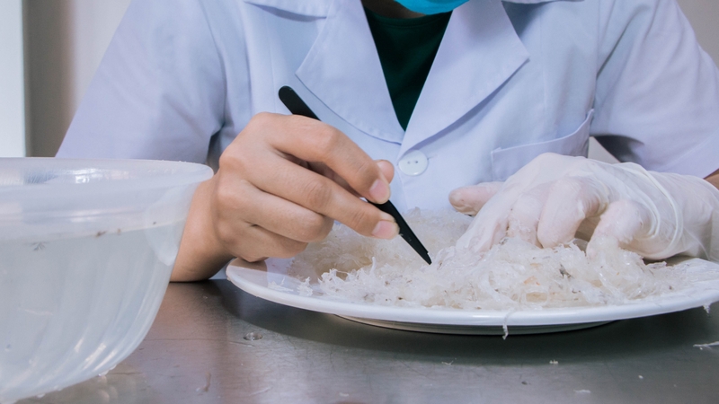 Cách chế biến yến sào​ đảm bảo giữ nguyên các chất dinh dưỡng 2