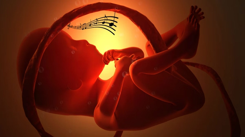 Cách cho thai nhi nghe nhạc bằng điện thoại và một số lưu ý 2