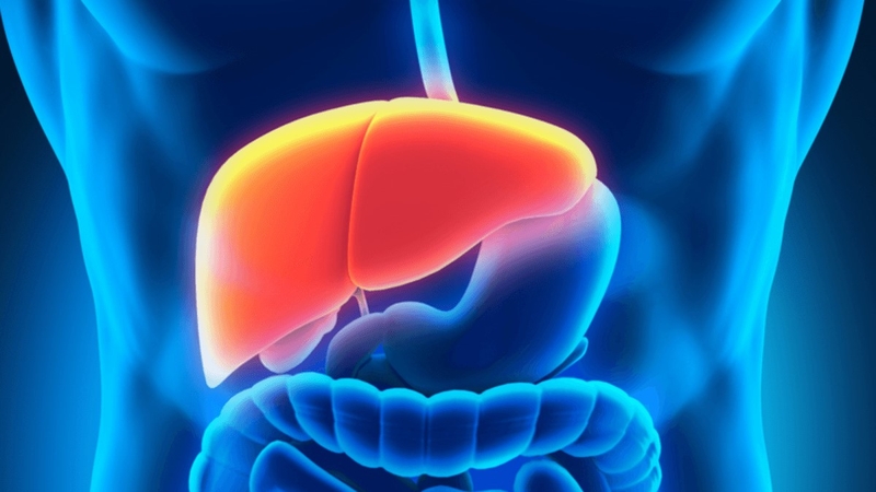 Cách chọn thuốc tăng cường chức năng gan hiệu quả 1