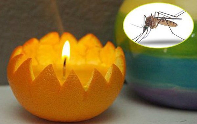 Cách chống muỗi đốt từ thực phẩm an toàn và hiệu quả 3