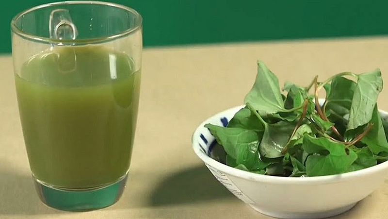 Dùng rau diếp cá trị&nbsp;bệnh trĩ như thế nào 3