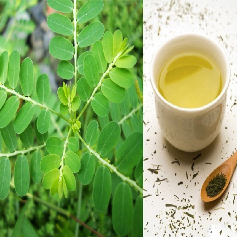 Cách chữa bệnh xơ gan đơn giản từ cây chó đẻ