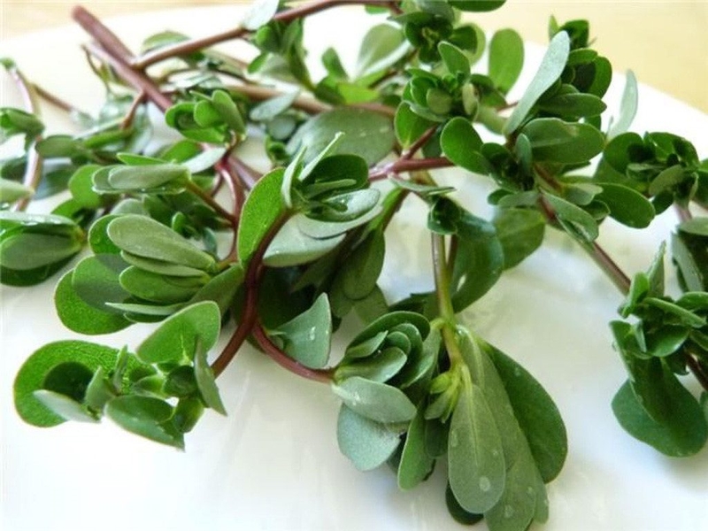 Tổng hợp cách chữa bệnh zona theo dân gian hay nhất 3