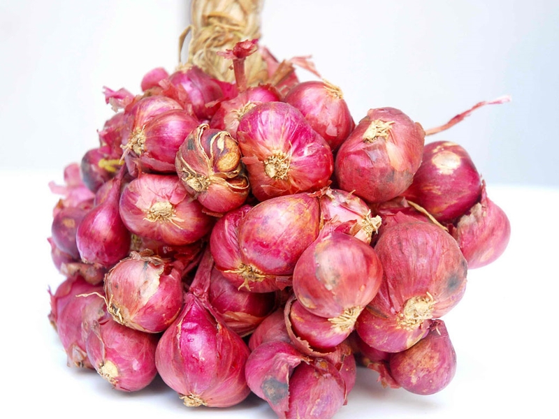 cách chữa chai chân bằng hành tím 1