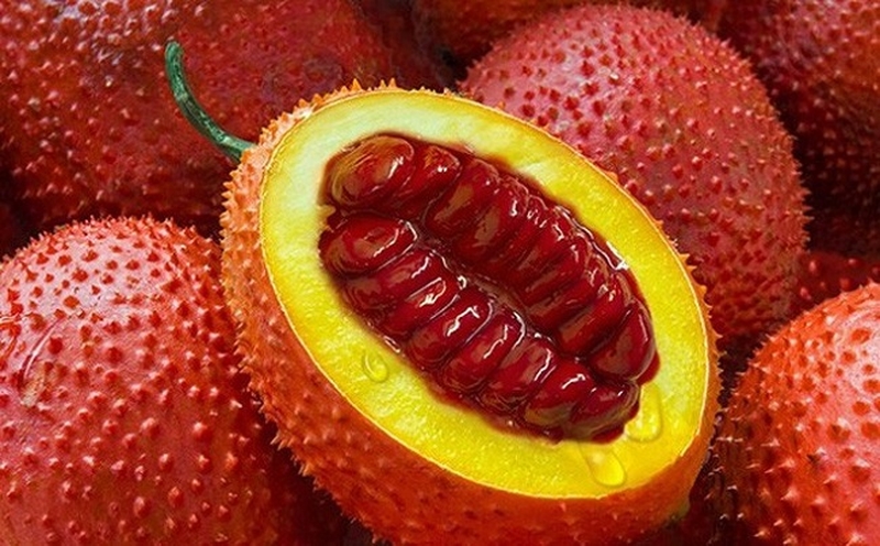 Cách chữa quai bị bằng hạt gấc đơn giản, an toàn tại nhà1